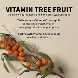 iUNIK Vitamin Hyaluronic Acid Vitalizing Toner