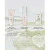 Beauty of Joseon Ginseng Moist Sun Serum