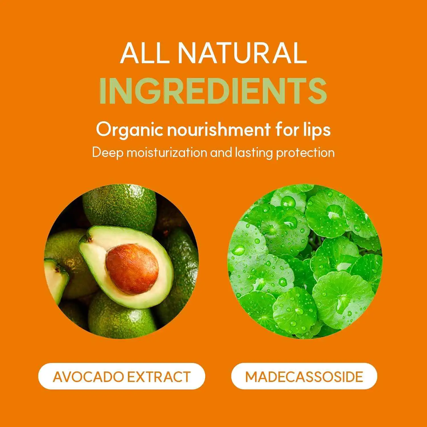 Frudia Avocado Cica Relief Lip Balm